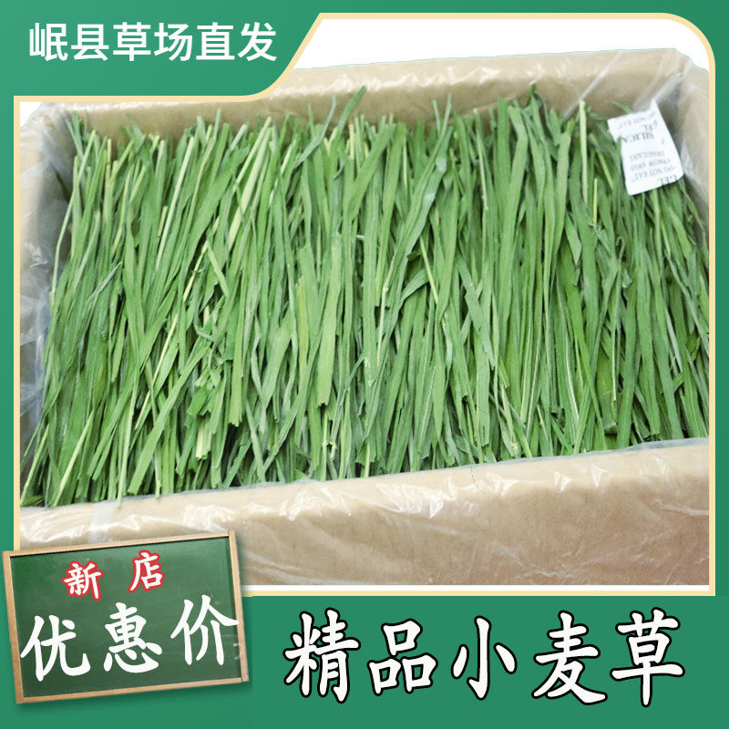 25-year wheatgrass dried premium pet rabbit food, 1000g with free ... - Rabbit Feed For Heart Health