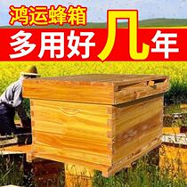 Middle Bee Beehive Full Standard Cedar Wood ten Frame Boiled Waxed Beehive Beehive Beehive Beehive Beehive Beehive Mind Beehive