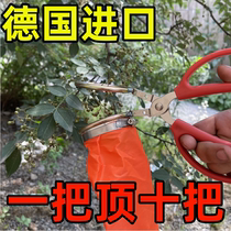 Pepper cutting artifact 2023 new pepper picking tool for picking pepper jujube and lychee agricultural artifact fully automatic picking
