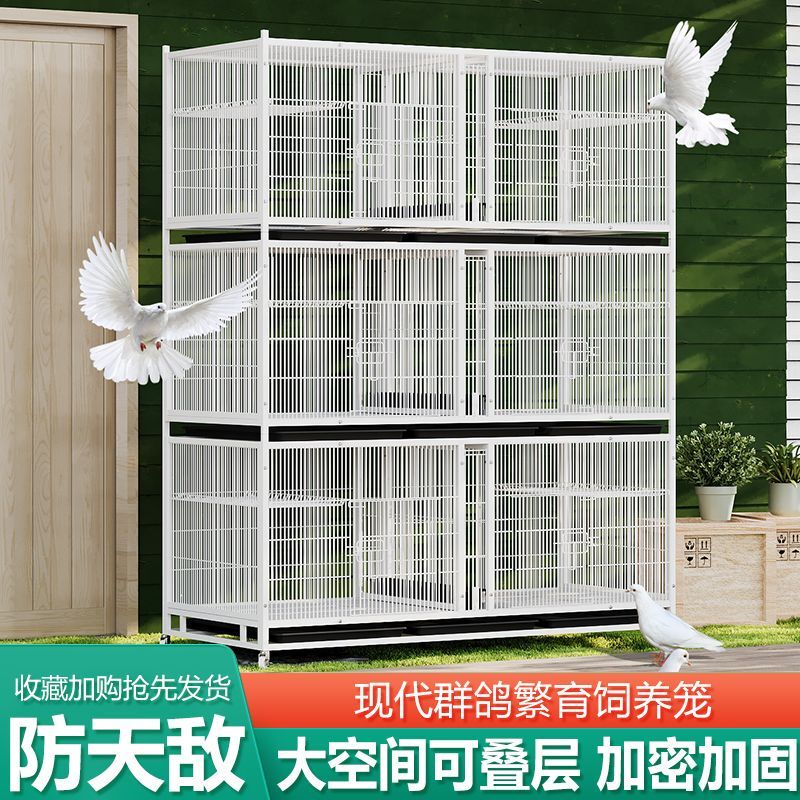 Pigeon Pairing Cage Breeding Encrypted Circular Racing Pigeon Shed Large Outdoor Anti-Mouse and Weasel Breeding Cage