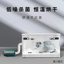 Xinjiang Tibet pet drying box dryer water blower household small cats and dogs bathing and hair blowing