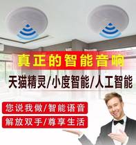Sky Cat Smallness Little Love Intelligent Voice-controlled Living Room Ceiling Acoustics Home Bluetooth Saspiration Top Acoustic Ceiling Sante horn