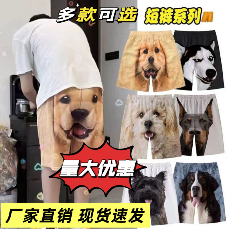 Golden Retriever Shorts, Sleepwear, Boyfriend Casual Pants, Couple's Five-Point Pants, Funny Cute Dog Head Print Beach Shorts