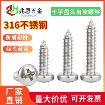 316 stainless steel round head self-tapping screws pan head cross wood screws PA pointed tail large head self-tapping screws
