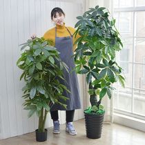 SUBOR large artificial flower simulation money tree interior decoration plant living room floor fake potted flower tree green plant plastic