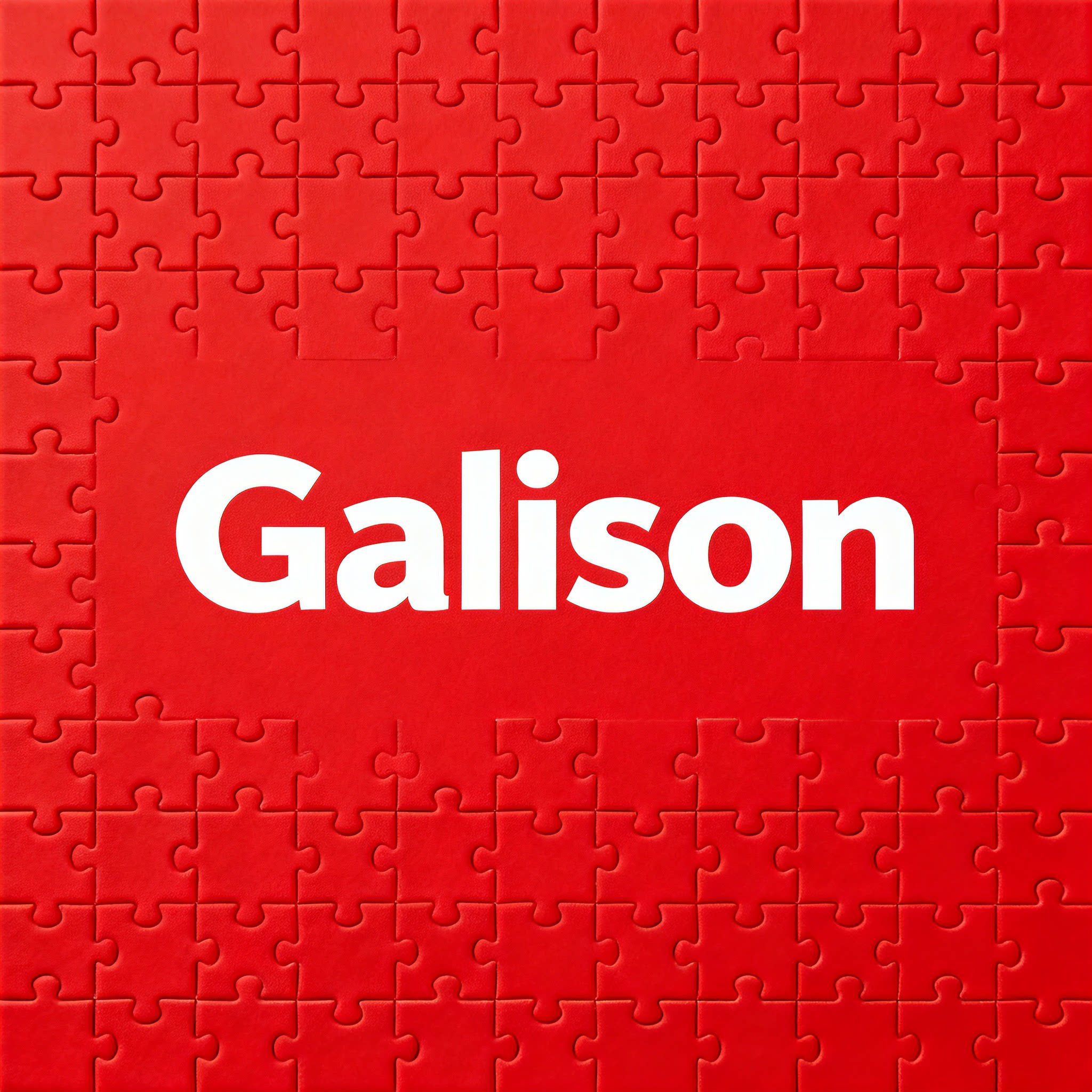 Galison品牌全球店的LOGO