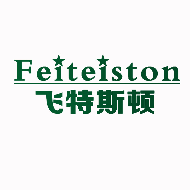 飞特斯顿旗舰店