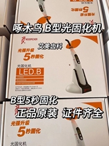 Woodpecker B-type curing machine 5 seconds curing Express