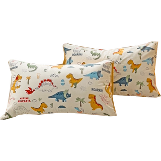 全棉小清新枕套100纯棉枕头套子48*74一对装成人卡通儿童学生宿舍