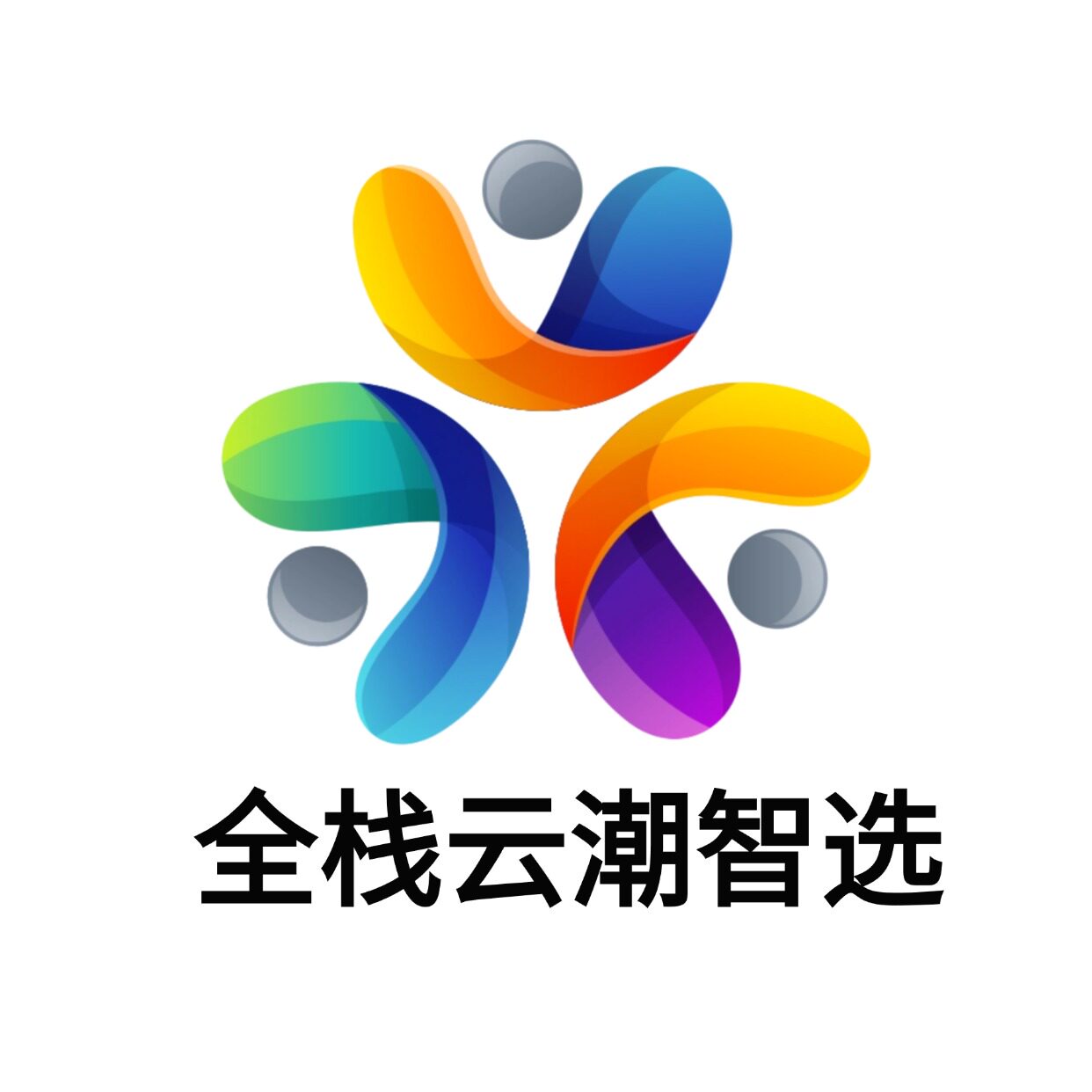 全栈云潮智选
