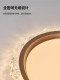 Dfzm Germany 2025 New Model Bedroom Ceiling Light Modern Simple Creative Stylish Light Luxury Master Bedroom