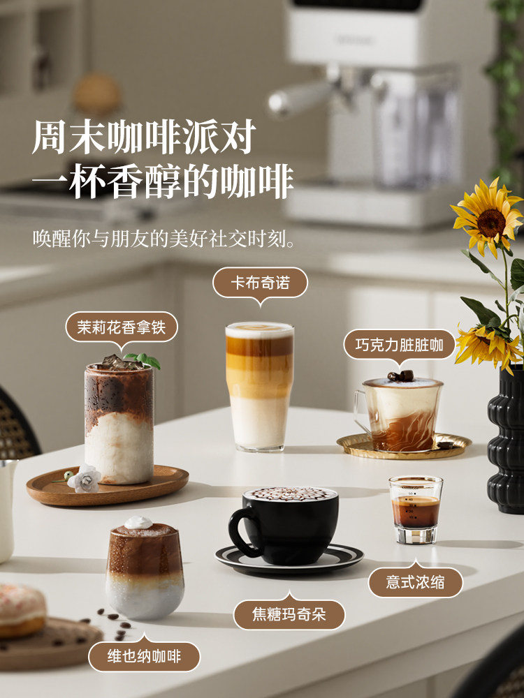 Sapoudr Et65 Italian Coffee Machine, Fully Semi-Automatic, Small Household Model, Suitable for American Latte and Milk Coffee