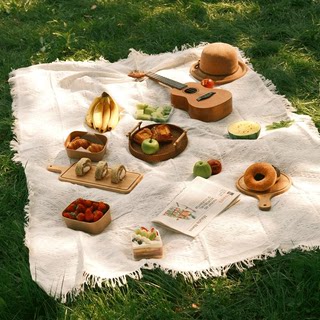 Spring picnic outdoor picnic cloth ins style