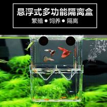 Fish larvae separator ornamental shrimp breeding box fish baby isolation box guppy production fry hatching and childbirth box