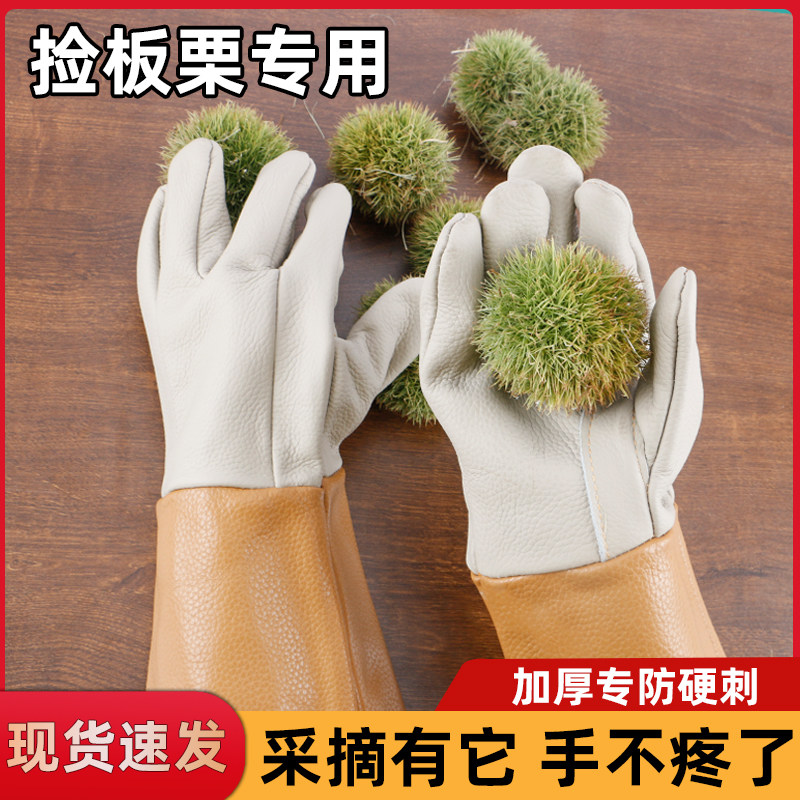 捡板栗手套栗子剥壳专用手套防扎防刺摘板栗手套园艺修剪防护手套