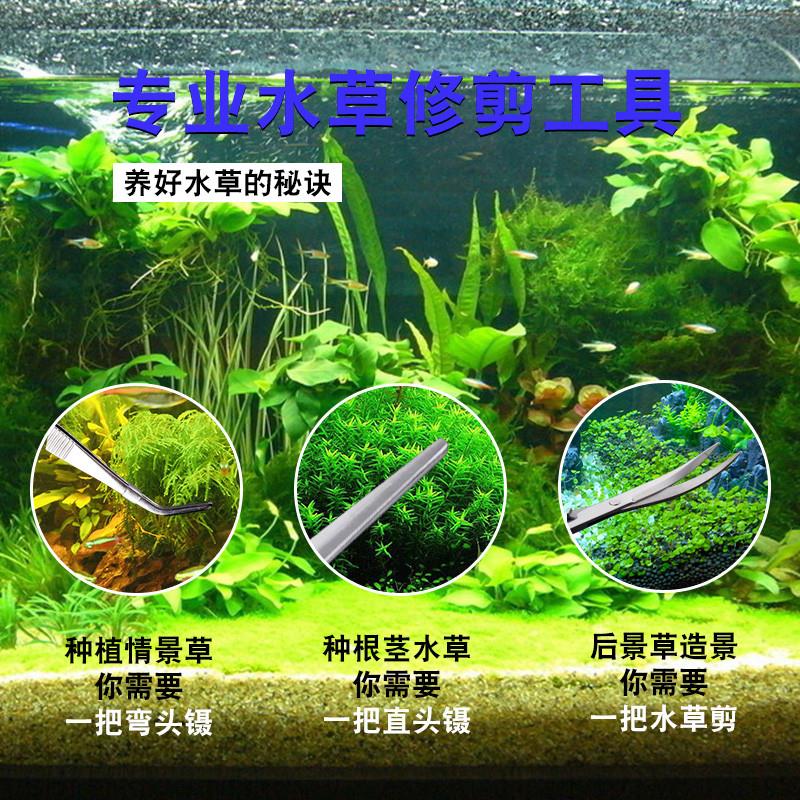 水草镊子剪刀草缸不锈钢碳化修剪工具套装种植夹镊子波浪剪刮藻刀