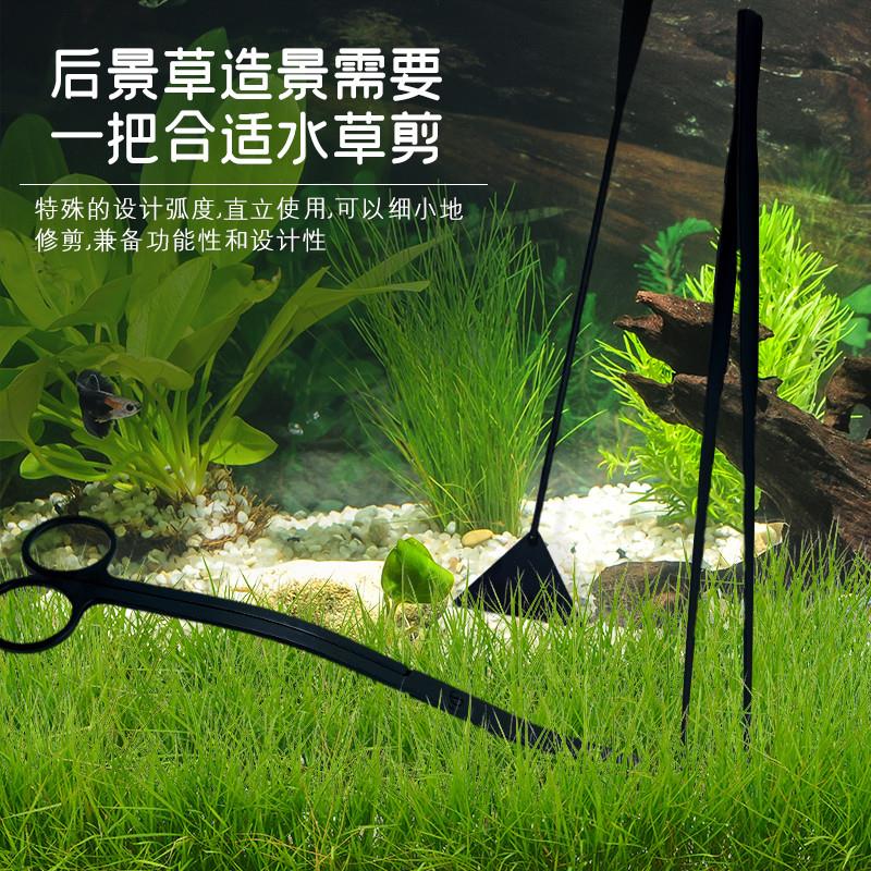 草缸水草直头弯头镊子剪子刮藻刀修剪工具大号加大厚不锈钢剪刀