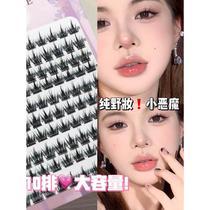 Lazy 10 rows of large-capacity pure wild little devil false eyelashes natural simulation of thin black stems thick and long eyelashes