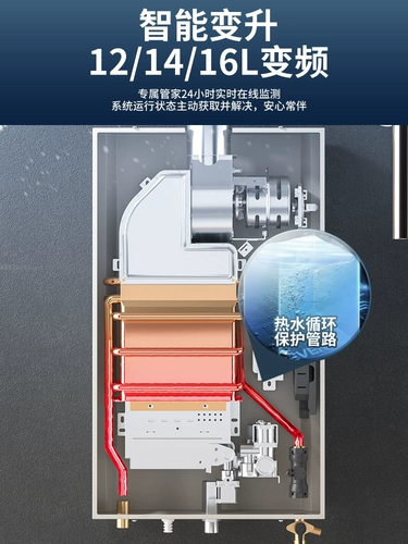 Alahotaita, газовый водонагреватель, электрический бытовой газовый сжиженный газ, сильная выхлопная газовая модель с постоянной температурой для купания