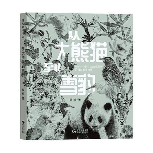 Authentic, Almost New Books | from Giant Pandas to Snow Leopards—Natural Science Observations by a Wildlife Photographer Geng Dong Guizhou People's Publishing House Authentic, Almost New Books | from Giant Pandas to Snow Leopards—Natural Science Observations by a Wildlife Photographer Geng Dong Guizhou People's Publishing House
