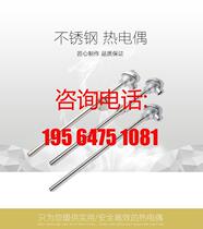 Shanghai Hongtian explosion-proof stainless steel thermocouple WZP-141 10*700 -20 full series supply negotiable price