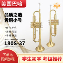 Bach trumpet in B flat for beginners children and adults general musical instrument for grade examination 180S-37 lacquered gold silver-plated phosphor bronze trumpet