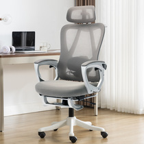 Ergonomic chair leisure computer chair home sedentary comfortable back chair desk chair reclining lunch break office chair