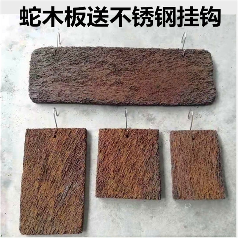 Dendrobium Planting Board, Orchid Growing Board, Air Plant Plant Wall Backdrop, Snake Wood Pot Pack.