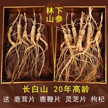Ginseng Changbai Mountain wild ginseng Northeast understory ginseng raw and sun-dried ginseng 20-year-old dried ginseng gift box whole branches soaked in wine
