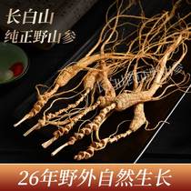 Ginseng Changbai Mountain Mountain ginseng 26 years of wild Ginseng Lower Ginseng Dry Goods Bubble Wine Jilin Northeastern Special Courtesy Box