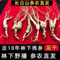Changbai Mountain ginseng ginseng understory ginseng remaining ginseng one pound of wild ginseng soaked in wine and soup dry goods whole stick