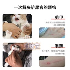 Носки для животных 猫咪专用鞋子外穿外出宠物一次性猫猫脚套小猫穿的袜子防抓鞋套 OTHER