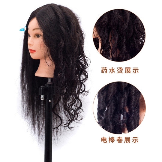 Modelo de cabeza de peluquería, cabello real completo, aprendiz de peluquero, práctica de corte de cabello, modelo de cabeza simulada, se puede permanente y teñir, cabeza de modelo de muñeca de cabello trenzado