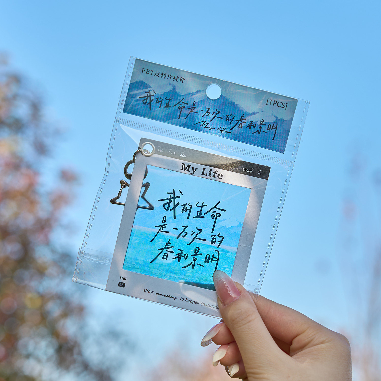 PET製の半透明リバースペンダントブックマークは、洗練されたミニマルなデザインで、芸術的でトレンディな雰囲気があり、バッグ、本、ペンダント、小さなカードなどの装飾に最適です。