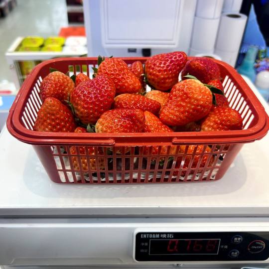 Strawberry Basket, Bayberry, Loquat, Egg Crate, Plum Basket, Fruit Picking Basin with Lid, Blue Plastic Basket, Rectangular