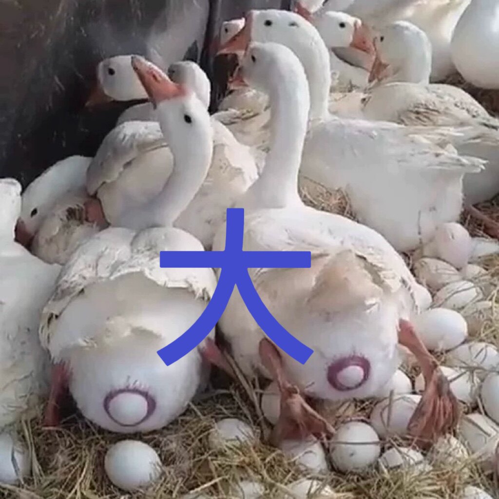 农家乐鸡鸭鹅养殖场