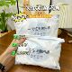 Maternal sterile disposable disposable underwear