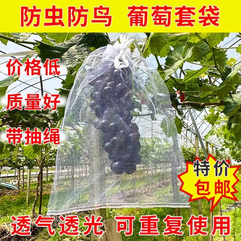 Fruit Net Bags for Insect and Bird Protection, Strawberry Bags, Breathable Grape Bags, Fig and Guava Bags