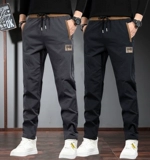 Tide, осенние демисезонные трендовые штаны для отдыха, оверсайз, свободный прямой крой