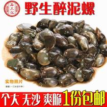 Pint Sanjiang Wild 6A Drunk Mud Snail King Yellow Clay Snails Big No Sand Ningbo Cured Seafood 280g