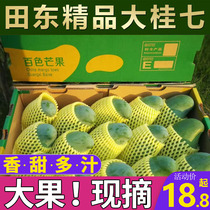 Guiqi mango whole box 10 catties mango Guangxi Tiandong Baise seasonal Guiqi fresh pick fruit SF Express