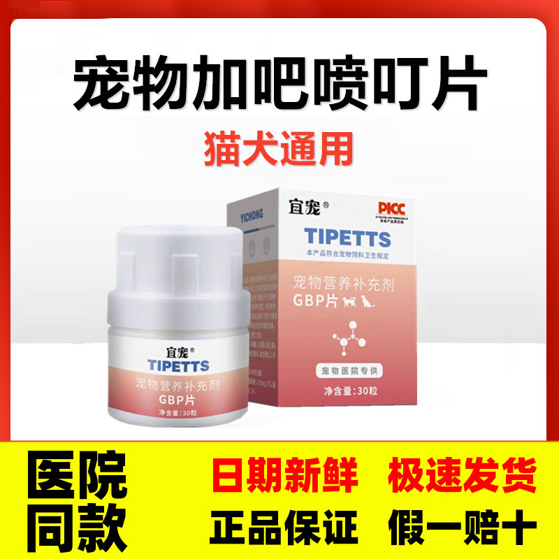 Gabapentin Tablets for Cats to Relieve Discomfort, for Pets to Calm Their Mood When Going Out