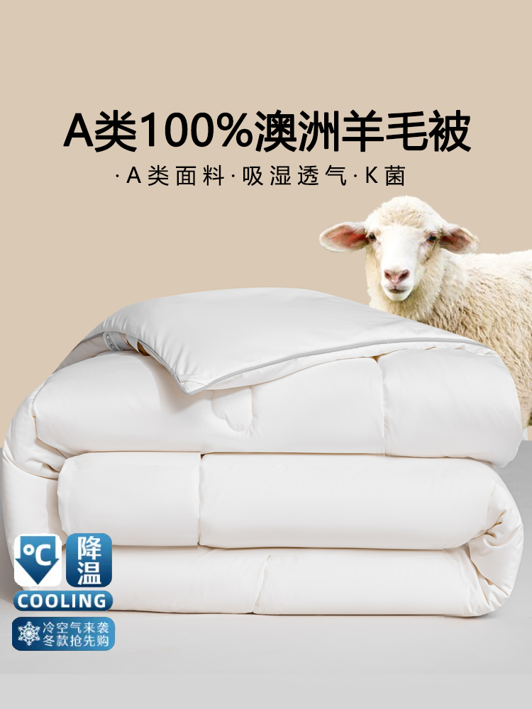Brother-in-law Australian wool quilt 2023 new autumn and winter quilt core thickened warm cotton quilted by student Dormitory Single Bedding-Taobao