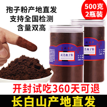 Changbai Mountain Ganzhi spore powder 500g official flagship store non - special headway broken Linche robe powder