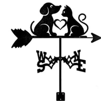 Собака и кошка