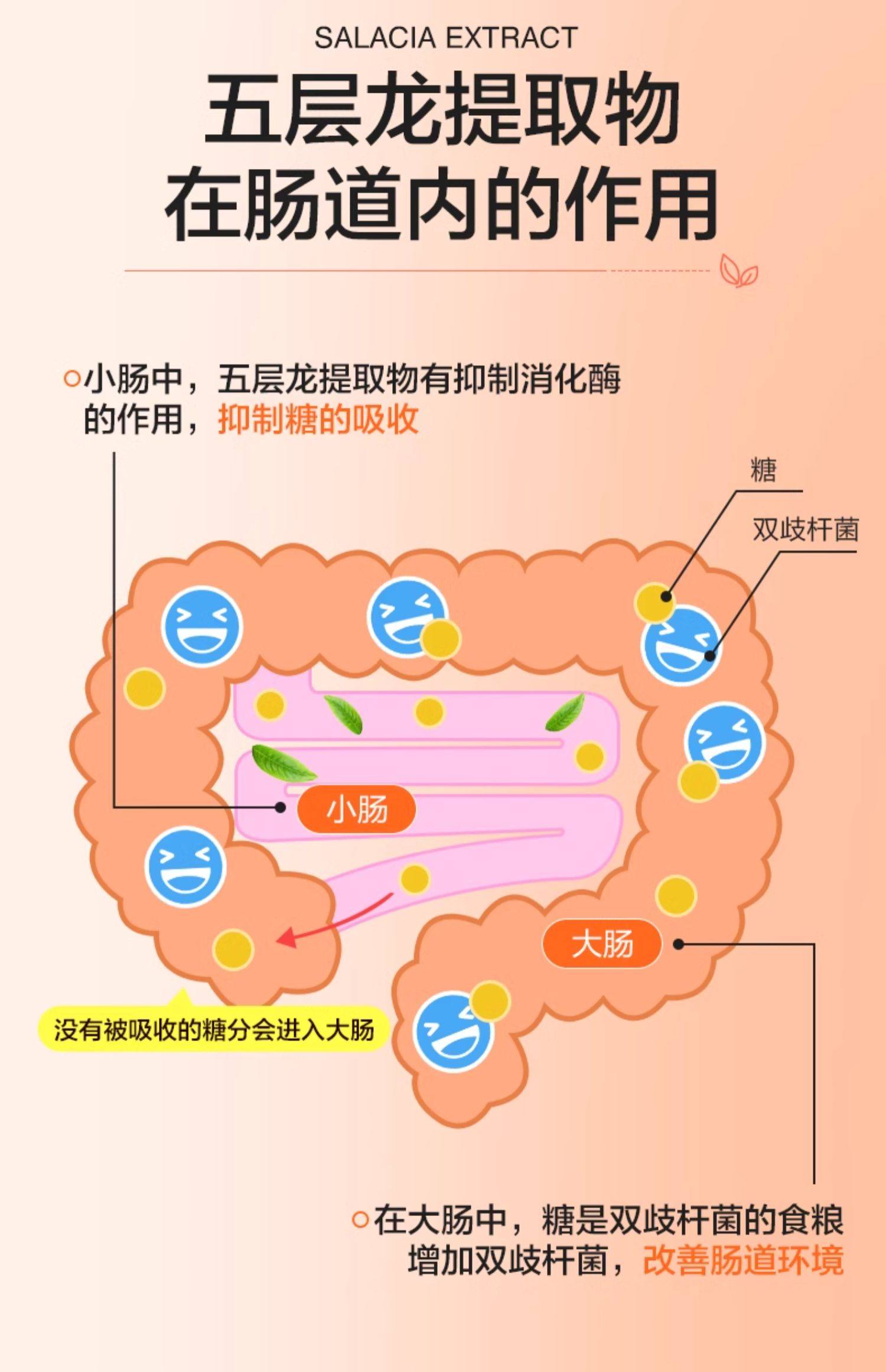 【日本直邮】日本 FUJIFILM富士胶片  五层龙控糖丸 配方新升级 30日份 180粒 日本超人气控糖丸