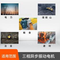 Vibration motor YZS high frequency attached vibrator three-phase asynchronous anti-clogging concrete warehouse wall exciter