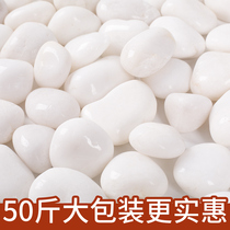 Guizhou 50 pounds white pebbles soft stone natural rain flower stone original stone courtyard balcony landscaping paving white stone