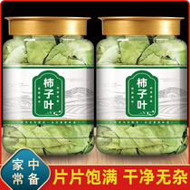 Henan Dengfeng persimmon leaf blood pressure Chinese herbal medicine after frost persimmon tree dry goods boiled water persimmon leaf powder fresh leaves