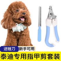 Teddy special dog nail clippers nail clippers special nail clippers nail cut nail clippers pet supplies